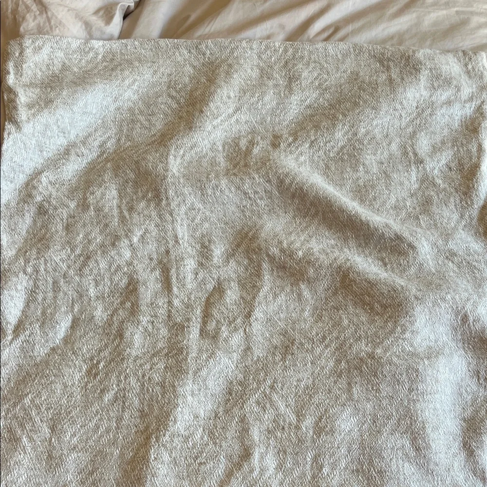 Restoration Hardware Herringbone Jacquard Single Euro Sham in Sand